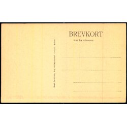 Storkerede paa Lyngby Kirke - Henriksens Bogh. u/n - Ubrugt