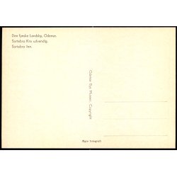 Den Fynske Landsby - Sortebro Kro udvendig - Odense Bys Museer u/n - Ubrugt