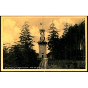 Bornholm - Kongemindet Almindingen - Rudolf Olsen 5536 - Ubrugt