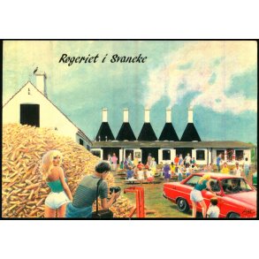 Bornholm - Rgeriet i Svaneke - Gornitzka u/n - Brugt