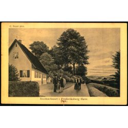 C. Bayer - Sveizerhuset i Frederiksberg Have (1860) - Alex Vincent 13 - Brugt