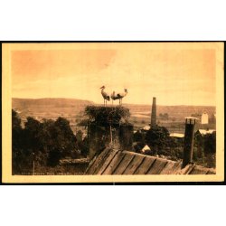 Storkerede paa Lyngby Kirke - Henriksens Bogh. u/n - Ubrugt