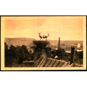 Storkerede paa Lyngby Kirke - Henriksens Bogh. u/n - Ubrugt