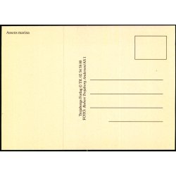 Assens marina - Trojaborg AS 1 - Ubrugt