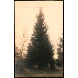 Fredensborg - Tret Fldes - Fotokort 1921 - u/n