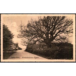 Taasinge - Ambrosius- Egen - Stender T.  37 - Brugt