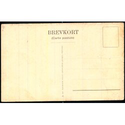 Turist-Postkort over Danmark nr. 12 - Ubrugt