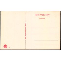 Odense - Fra Albanibroen - Warburgs Kunstforlag 172 - Ubrugt