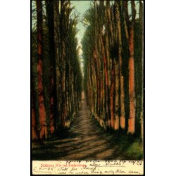 Sukkenes All ved Fredensborg - K. 7498