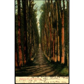 Sukkenes All ved Fredensborg - K. 7498