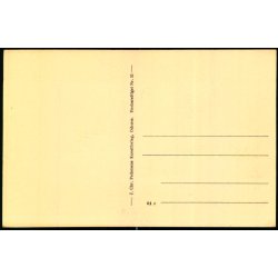 Aarhus - Parti fra Vennelyst Park - Chr. Pedersen 25 - Ubrugt