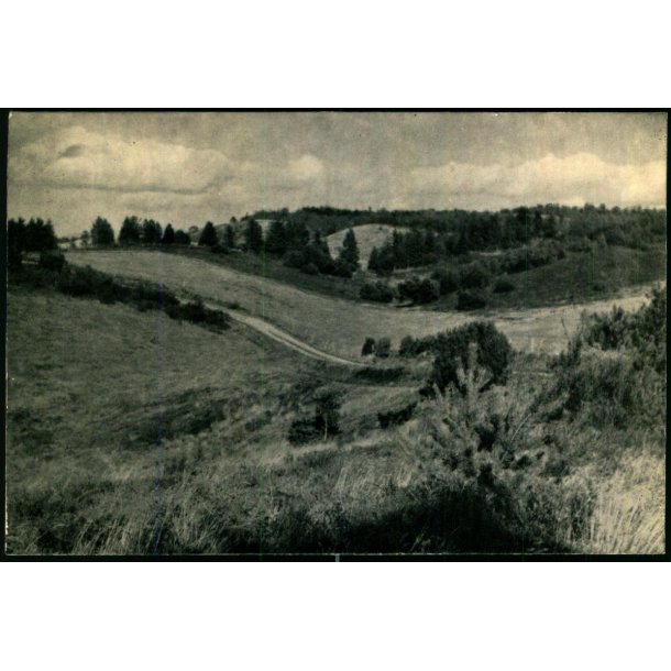 Bakkerne ved Toggebro - Mols - Elles Bogtryk 6047 - Brugt