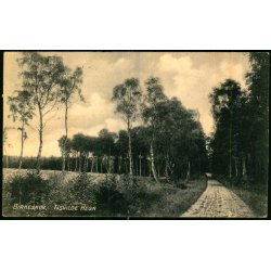 Birkeskov - Tisvilde Hegn - A. Jensens Bogh. u/n - Brugt