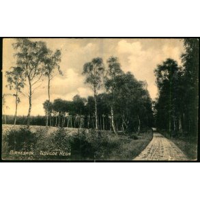 Birkeskov - Tisvilde Hegn - A. Jensens Bogh. u/n - Brugt