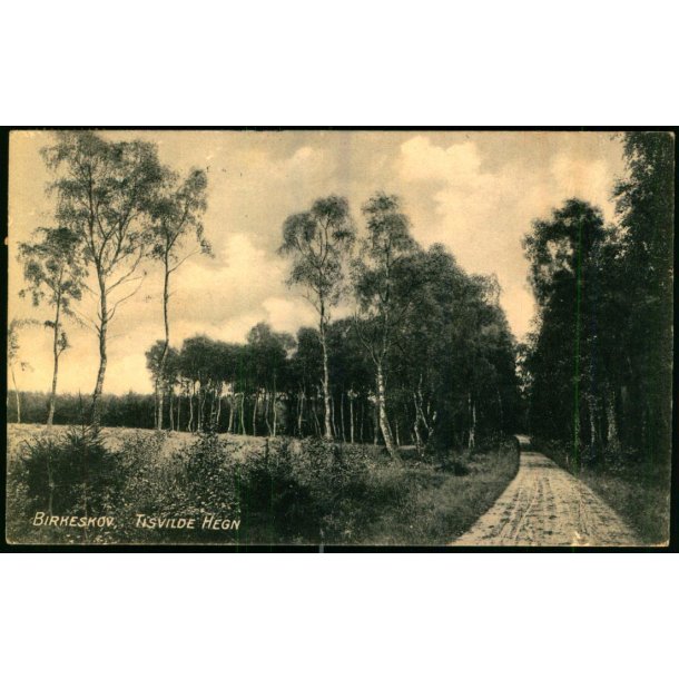 Birkeskov - Tisvilde Hegn - A. Jensens Bogh. u/n - Brugt