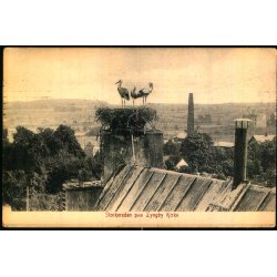 Storkerede paa Lyngby Kirke - Alex Vincent 316 - Brugt