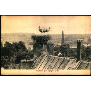 Storkerede paa Lyngby Kirke - Alex Vincent 316 - Brugt