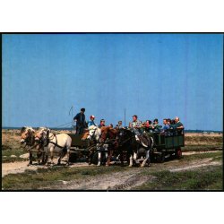 Hestetur p� L�s� - Post DK u/n - Ubrugt