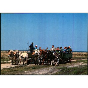 Hestetur p� L�s� - Post DK u/n - Ubrugt