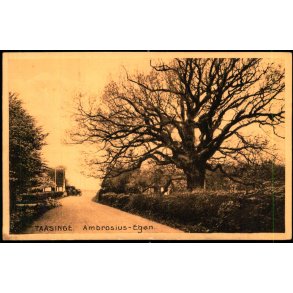 Taasinge - Ambrosius- Egen - Stender 11160 - Ubrugt