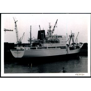 JOSE MARTI - Foto - Ubrugt 