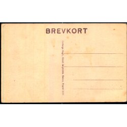 Bornholm - Kongemindet Almindingen - Colbergs Bogh. 1110 - Ubrugt