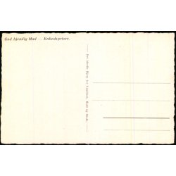 D.U.H. "Wisborg" - Helsing�r - u/n - Ubrugt