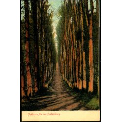  Sukkenes All ved Fredensborg - K. 7498