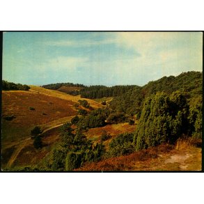 Mols Bjerge - Elle 566 - Brugt