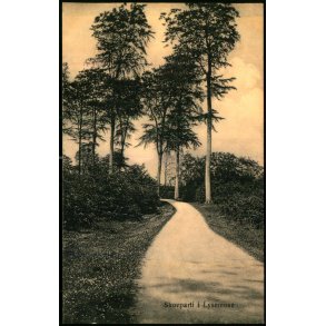 Skovparti i Lysemose - K. Rye Clausen u/n - Brugt