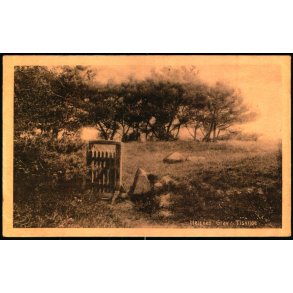 Helene Grav - Tisvilde - A. Jensens Bogh. 23698 - Ubrugt