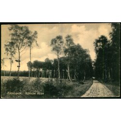 Birkeskov - Tisvilde Hegn - A. Jensens Bogh. u/n - Brugt