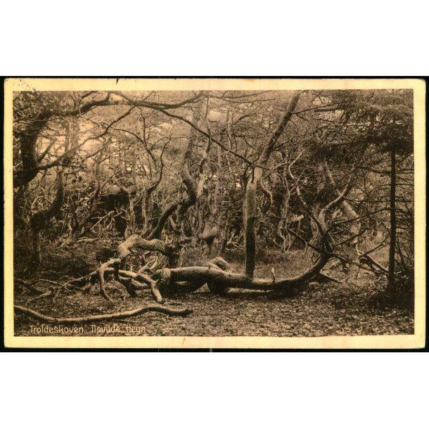 Troldeskoven - Tisvilde Hegn - A. Jensens Bogh. 46019 - Brugt