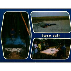 Saltsydning p� L�s� - L�s� Agentur 2011-21 - Ubrugt