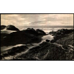 Gl. Skagen - Klittparti - Nielsens Bogh. 65315 - Brugt