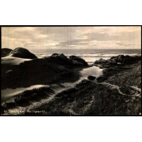 Gl. Skagen - Klittparti - Nielsens Bogh. 65315 - Brugt
