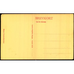 Kryer - Badende Drenge - Schjelde 21219 - Ubrugt