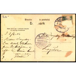 Kbenhavn - Raadhuspladsen med Hotel Bristol,- F.O.K. 147