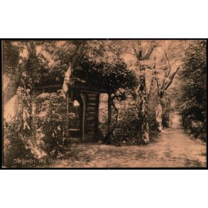 Sorgenfri ved Hindsgavl - Peter Alstrup 2534 - Ubrugt