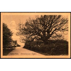 Taasinge - Ambrosius- Egen - Stender S.  37 - Ubrugt