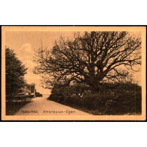 Taasinge - Ambrosius- Egen - Stender S.  37 - Ubrugt