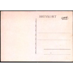 K�benhavn - Frederiksholms Kanal - Illum u/n