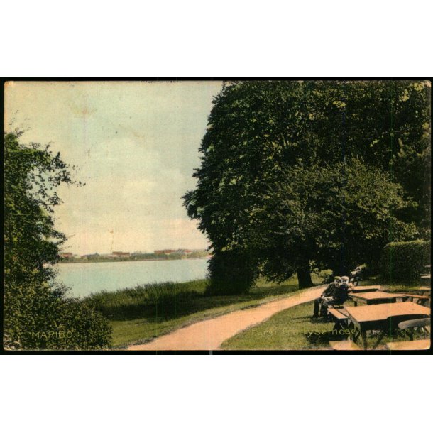 Maribo - Parti fra Lysemose - Stender 12993 - Brugt