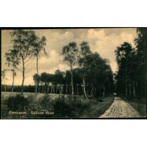 Birkeskov - Tisvilde Hegn - A. Jensens Bogh. u/n - Brugt
