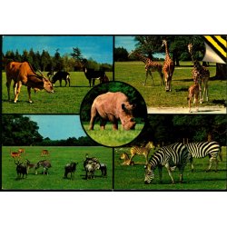 Knuthenborg Safari Park - Top Card KN 16 - Ubrugt