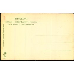 Middelfart - Kongebroveien med Skovridderboligen - Peter Alstrup 615 - Ubrugt
