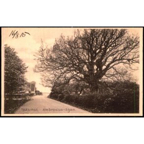 Taasinge - Ambrosius- Egen - Stender 11160 - Ubrugt