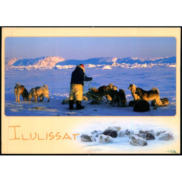 Ilulissat in teh winter time - Digo 99005 - Brugt