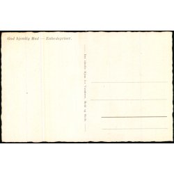 D.U.H. "Wisborg" - Helsing�r - u/n - Ubrugt