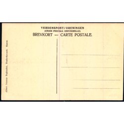 Birkeskov - Tisvilde Hegn - A. Jensens Bogh. u/n - Ubrugt